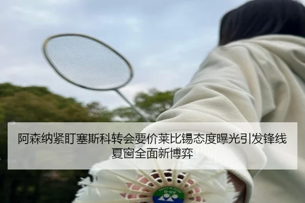 阿森纳紧盯塞斯科转会要价莱比锡态度曝光引发锋线夏窗全面新博弈