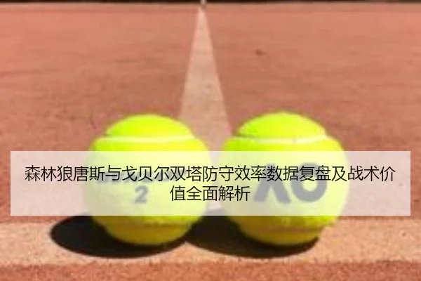 森林狼唐斯与戈贝尔双塔防守效率数据复盘及战术价值全面解析